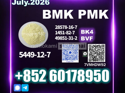 Latest BMK CAS 5449 - 12 - 7 New Batch Available