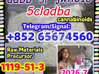 CAS 1119 - 51 - 3