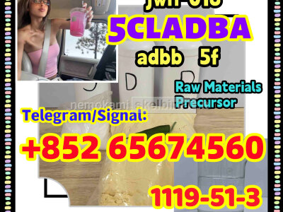 CAS 1119 - 51 - 3
