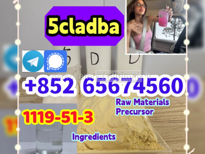 CAS 1119 - 51 - 3
