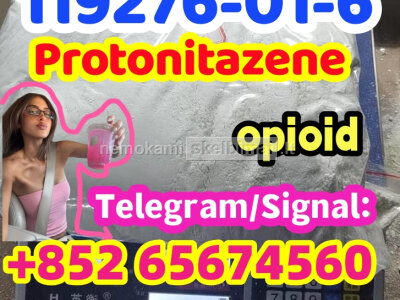 Protonitazene CAS 119276 - 01 - 6
