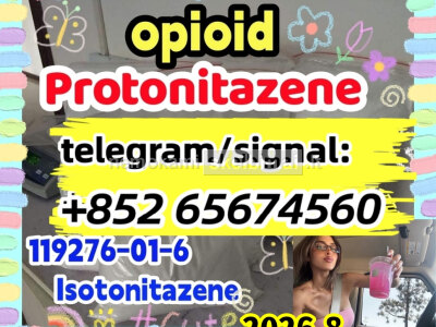 Protonitazene CAS 119276 - 01 - 6