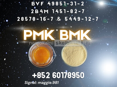 CAS 28578 - 16 - 7 New PM. K B. MK partner worldwide