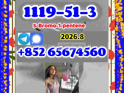CAS 1119 - 51 - 3