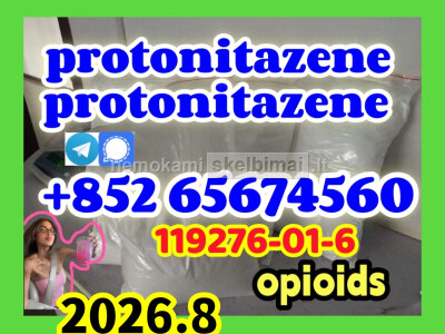 Protonitazene CAS 119276 - 01 - 6