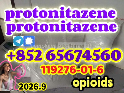 Protonitazene CAS 119276 - 01 - 6
