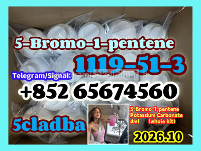 CAS 1119 - 51 - 3 5 - Bromo - 1 - pentene