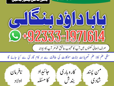 online istikhara for love marriage vashikaran specialist love problem solution astrologer G6