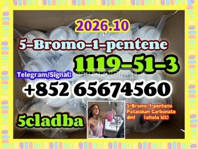CAS 1119 - 51 - 3 5 - Bromo - 1 - pentene
