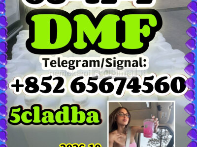 DMF CAS 68 - 12 - 2 liquid of