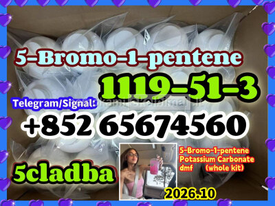 CAS 1119 - 51 - 3