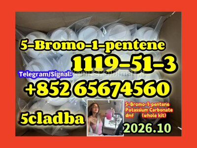 5 - Bromo - 1 - pentene CAS 1119 - 51 - 3