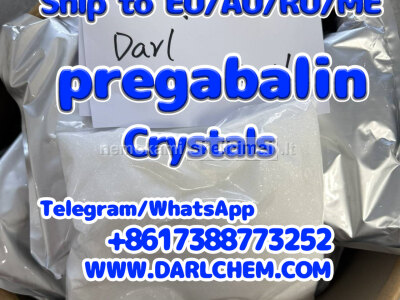 Europe Supplier of pregabalin crystals powder 148553 - 50 - 8