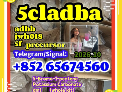 5 - Bromo - 1 - pentene CAS 1119 - 51 - 3