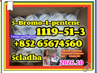 CAS 1119 - 51 - 3